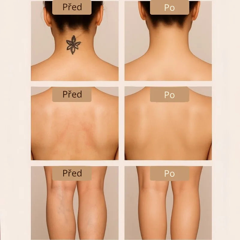 Daynava Sada Štětců pro Body Perfecter