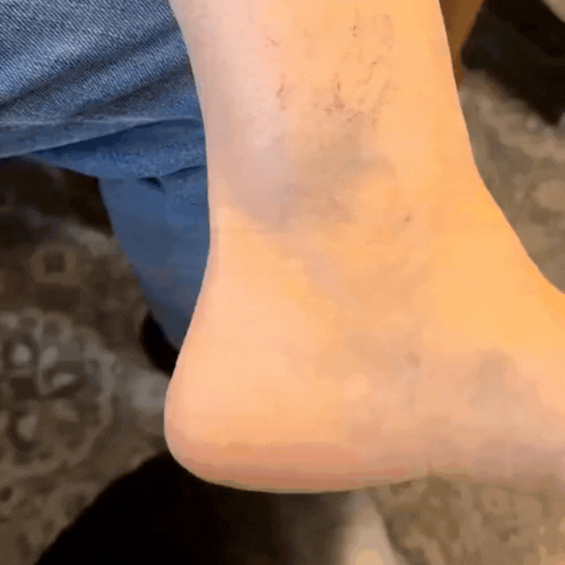 Daynava Sada Štětců pro Body Perfecter